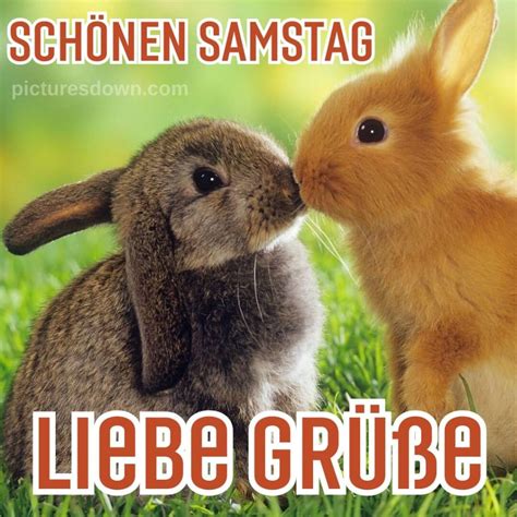 liebe grüße zum samstag